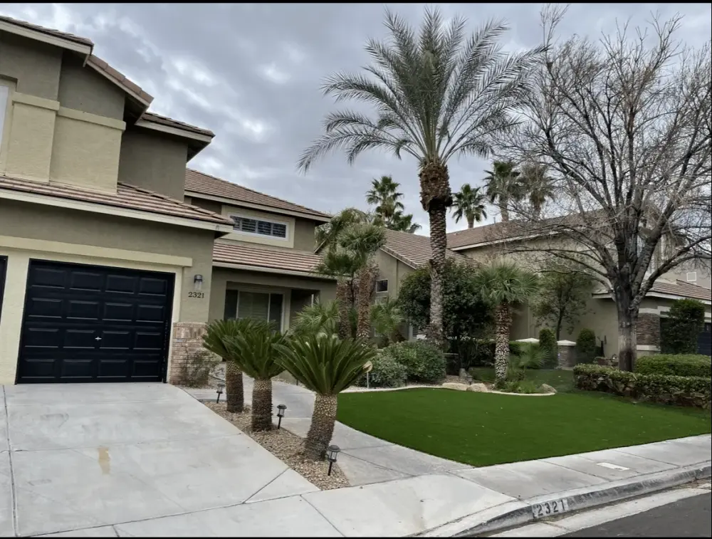 Front yard with artificial turf, palms, and desert planting