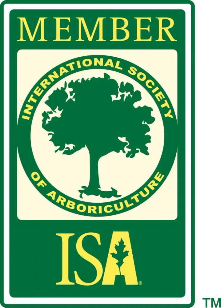 ISA member badge