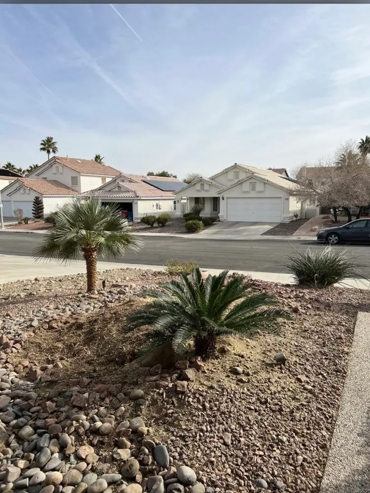 Desert rock front yard with a young palm and mature shade tree